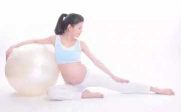 辅酶q10在生殖领域的作用(辅酶q10对卵巢的作用)~有偿捐卵