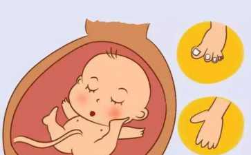 子宫肌瘤能吃兔肉吗~代怀宝宝