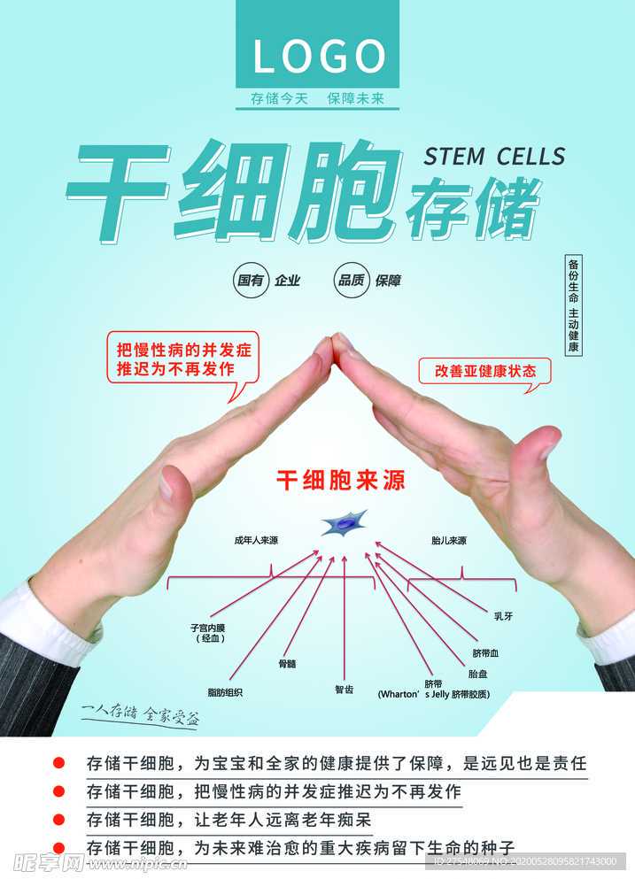 热灭活青春双歧杆菌通过潘氏样细胞介导干细胞活化改善结肠衰老
