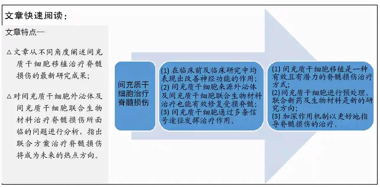 间充质干细胞治疗脊髓损伤：细胞治疗及联合新药和生物材料