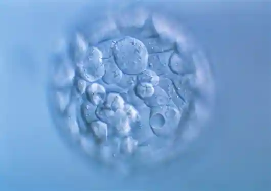 可怕！基因编辑可能导致人类胚胎染色体严重混乱