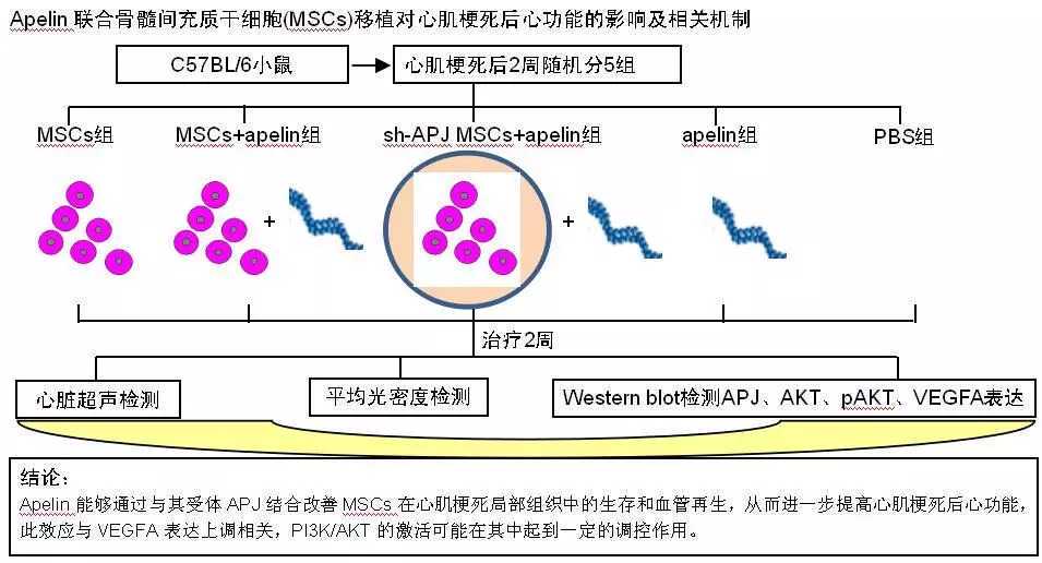 浙江省300例造血干细胞捐献 275例在浙江省中医院采集