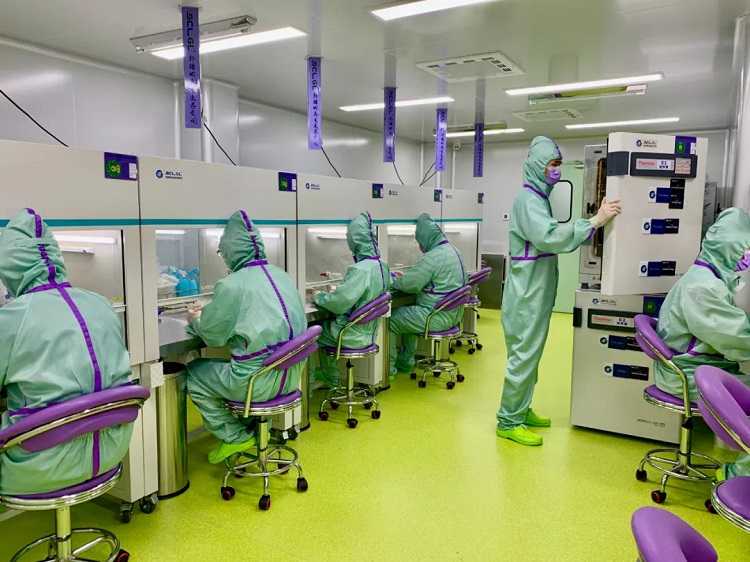 干细胞干预失眠，助您安睡到天明