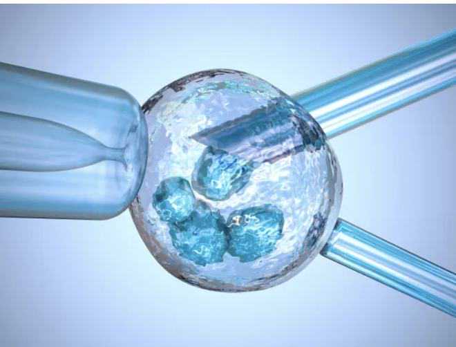 张学成：中国科学院办院方针调整及实施“率先行动”计划等改革实践的启示