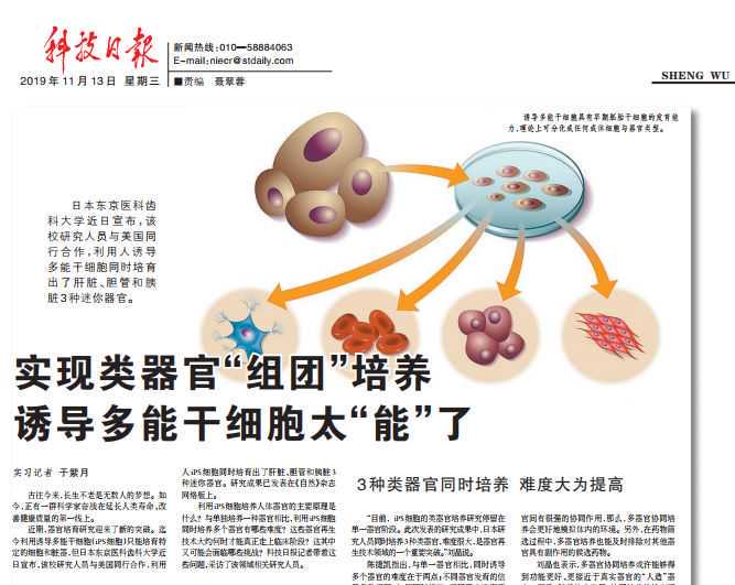 深圳女子整形后鼻子歪了！医院一句话惊呆众人