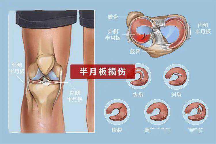 “十一”长假开启，曹杨社卫的这场培训正当时